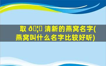 取 🦁 清新的燕窝名字(燕窝叫什么名字比较好听)